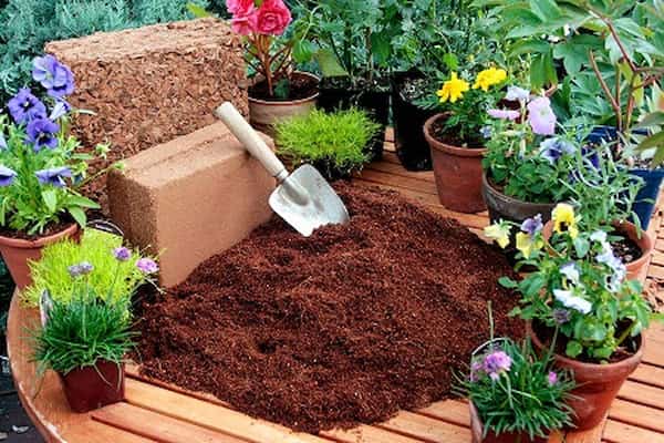 تصویر 1 از قیمت خرید خاک گلدان کوکوپیت + فروش ویژه